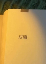 小说《皮囊》